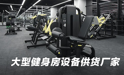 大型健身房設備供貨糖心LOGO原创视频